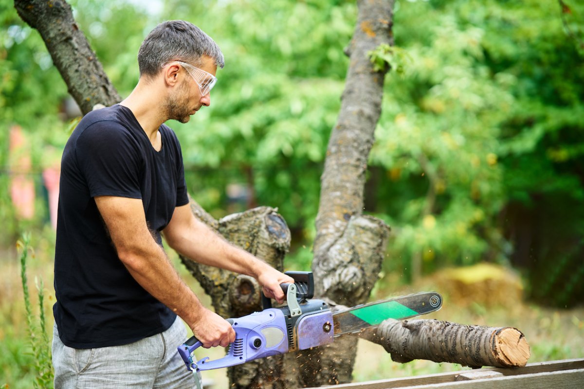 Jaká jsou pravidla pro kácení stromů? A jak je to s pálením dřeva? Pokuty jsou vysoké