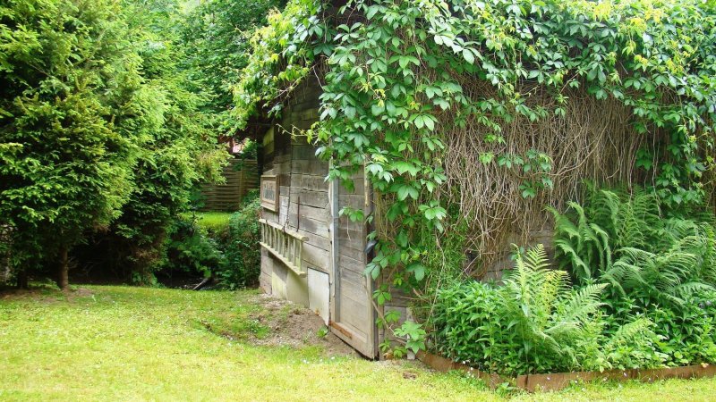 Prodej jednoduché chatky se zahradou, 997 m², Nový Malín