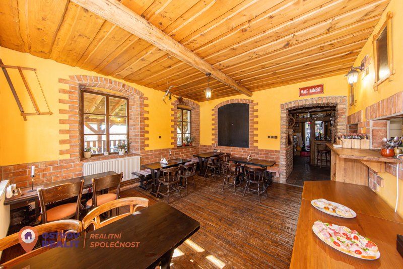 Prodej, penzion s apartmány, 2000 m2, Dolní Morava