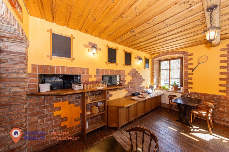 Prodej, penzion s apartmány, 2000 m2, Dolní Morava