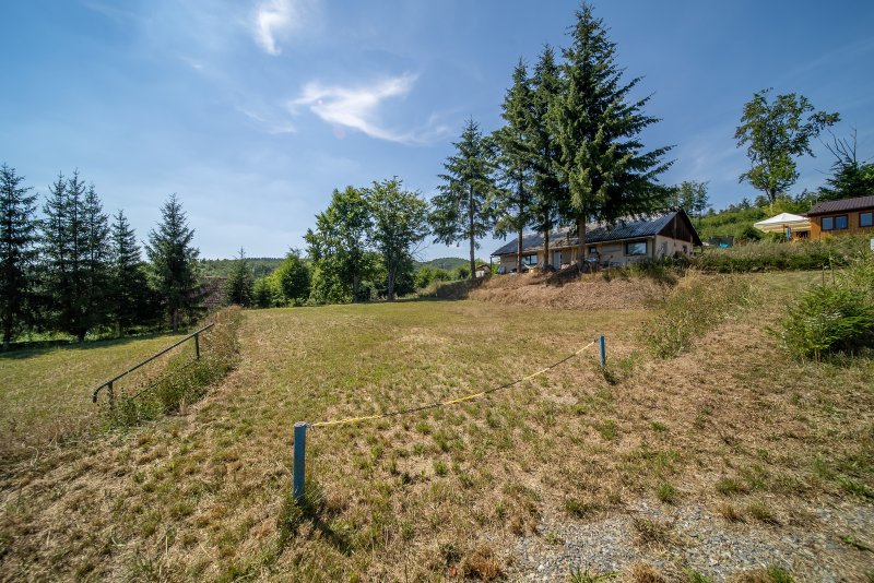 Prodej, pozemek k rekreaci, 829 m2, Zábřeh - Dolní Bušínov