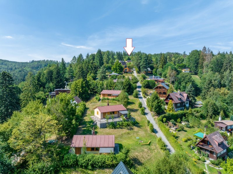 Prodej, pozemek k rekreaci, 829 m2, Zábřeh - Dolní Bušínov