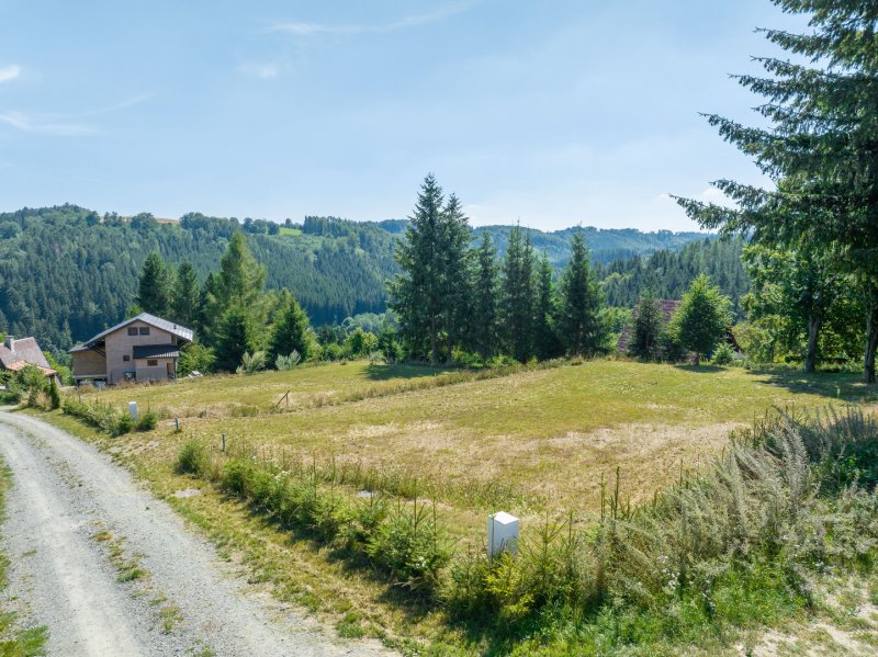 Prodej, pozemek k rekreaci, 829 m2, Zábřeh - Dolní Bušínov