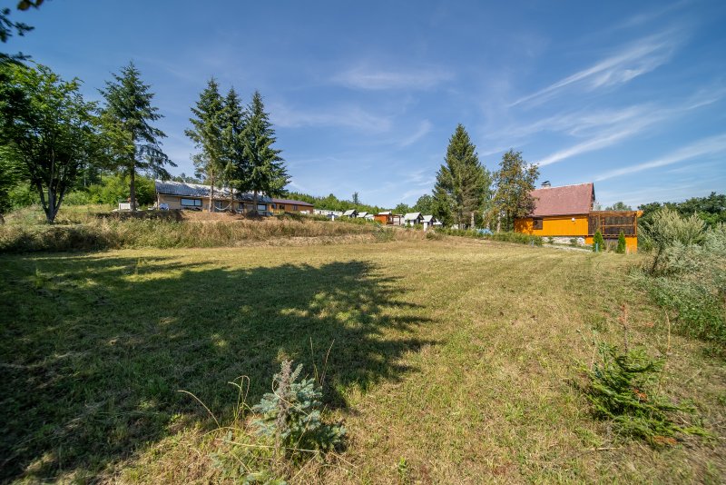 Prodej, pozemek k rekreaci, 829 m2, Zábřeh - Dolní Bušínov