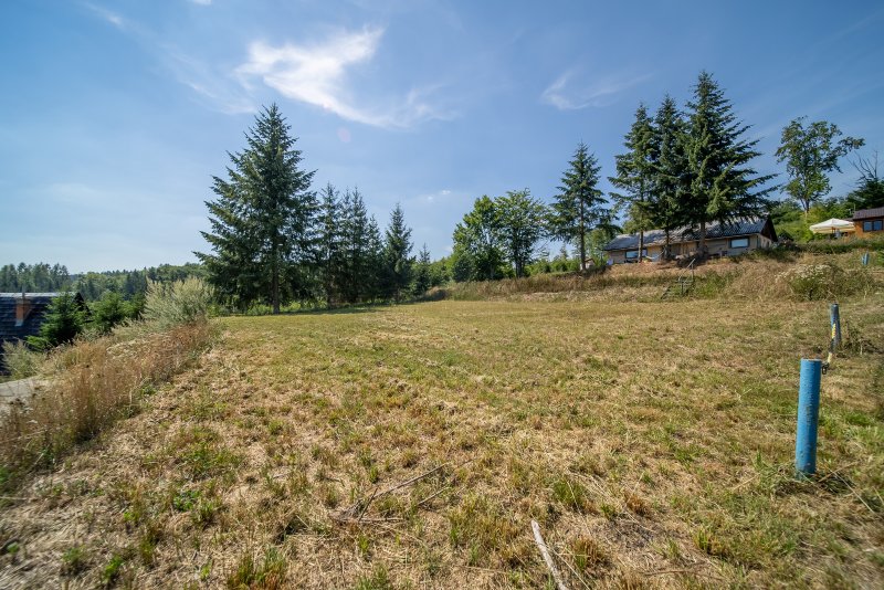 Prodej, pozemek k rekreaci, 829 m2, Zábřeh - Dolní Bušínov