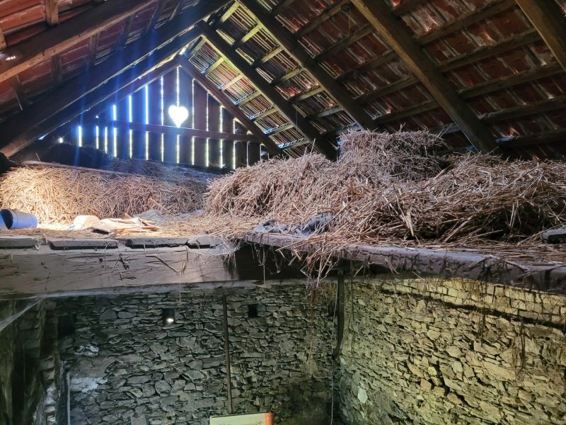 Prodej, rodinný dům, Vojtěchov