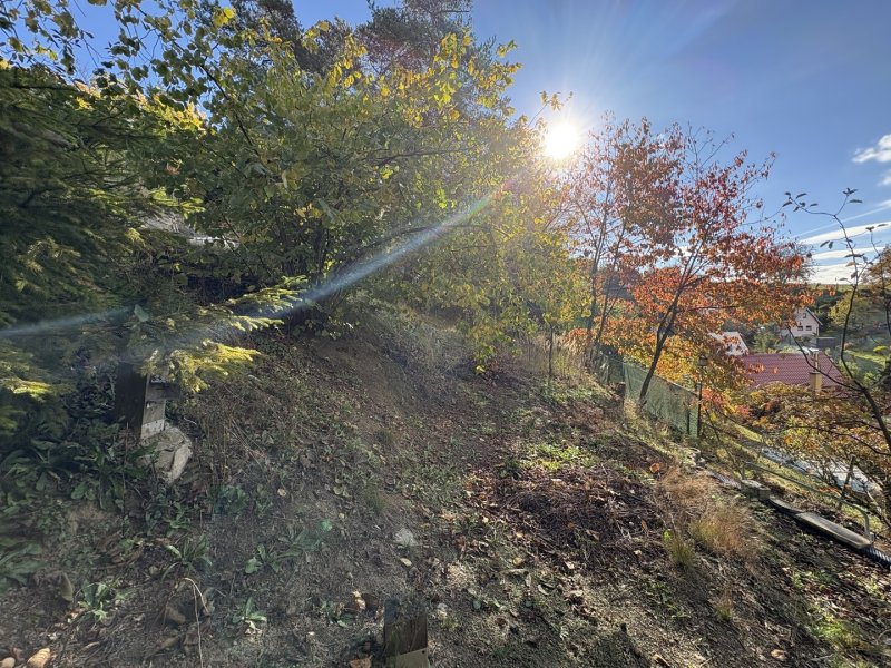 Prodej, pozemek k rekreaci, 361 m2, Kosov