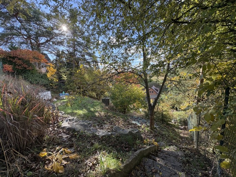 Prodej, pozemek k rekreaci, 361 m2, Kosov