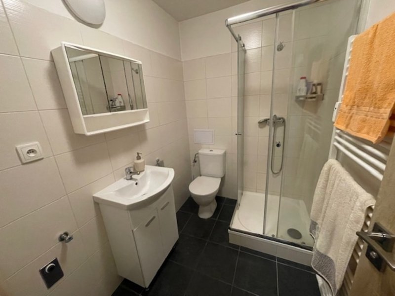 Pronájem, byt 1+kk, Zábřeh