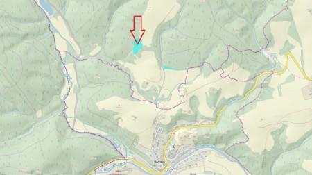 Prodej, les, 11901m2, Drozdov