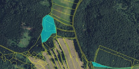 Prodej, les, 11901m2, Drozdov