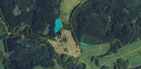 Prodej, les, 11901m2, Drozdov