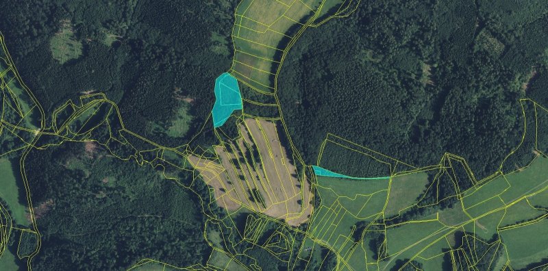 Prodej, les, 11901m2, Drozdov