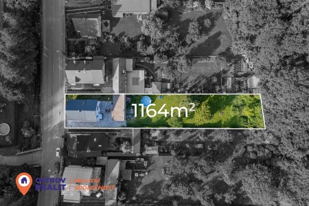 Prodej, rodinný dům, 1164 m2, Dolní žleb