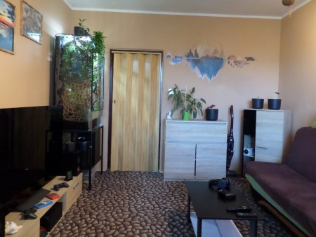 Pronájem bytu 2+1, 51 m2, Bohutín